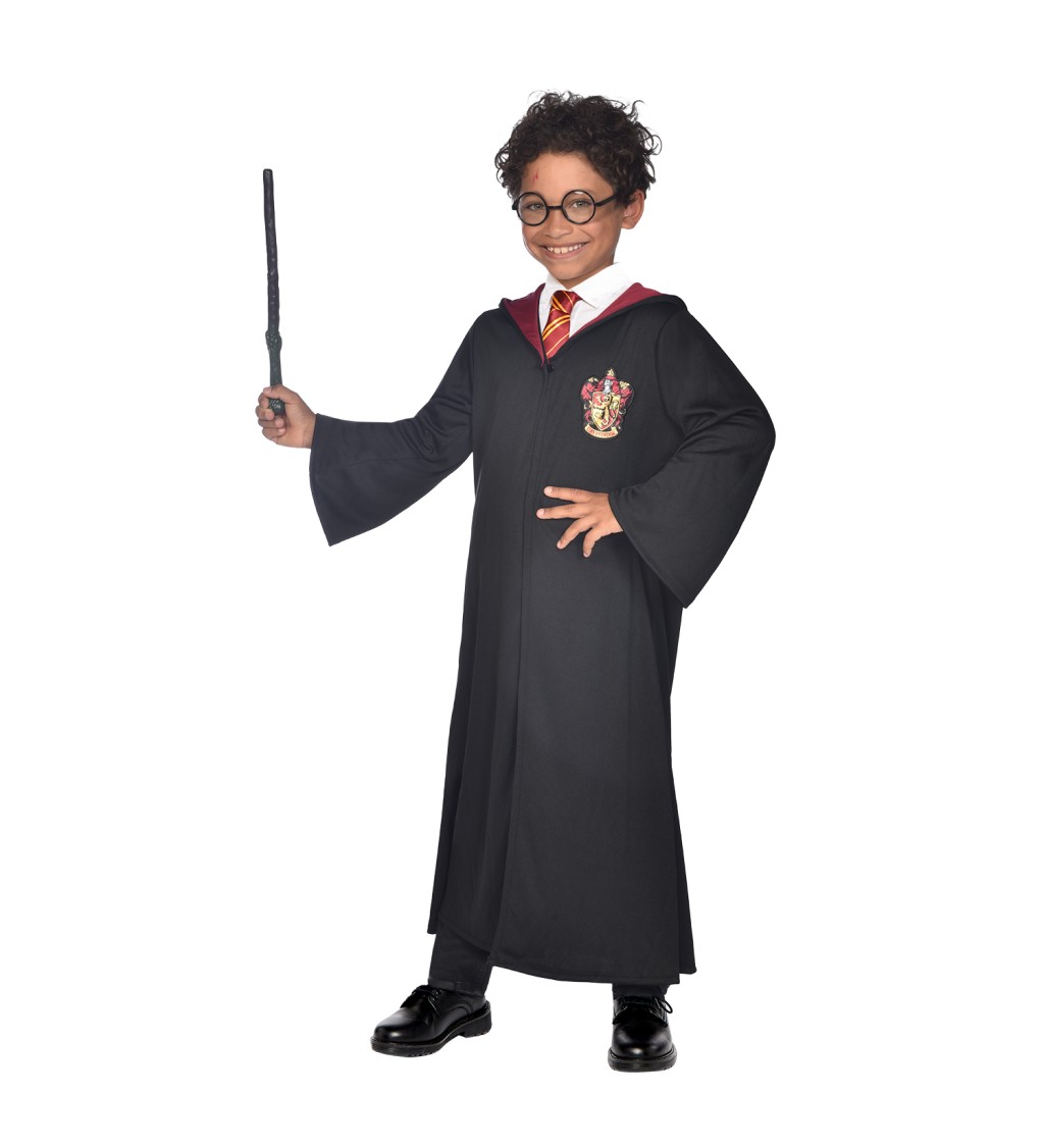 Kostým Harry Potter