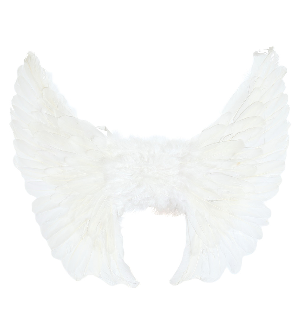 Bílé ptačí křídla