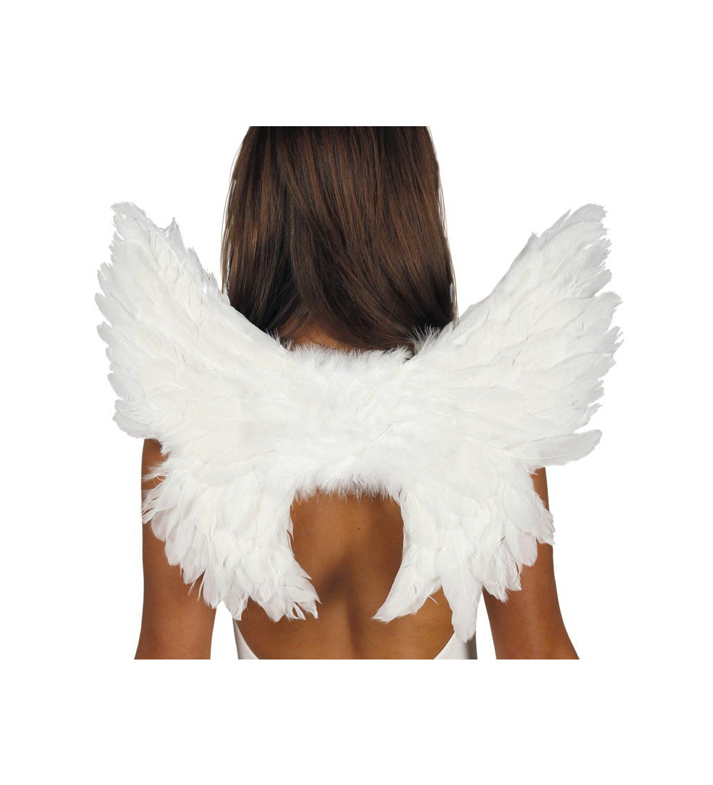 Bílé ptačí křídla