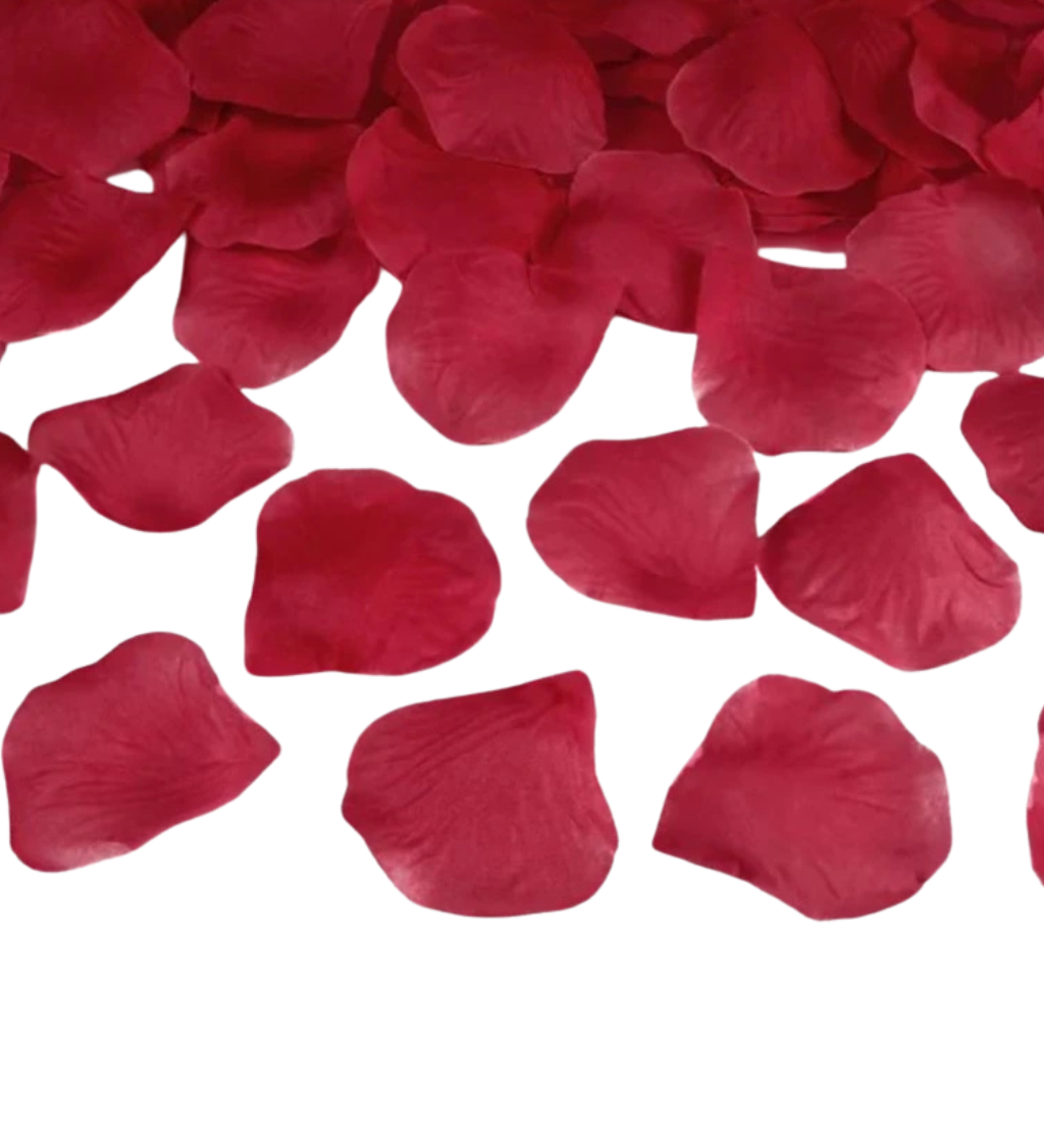 Vínové okvětní lístky růží II