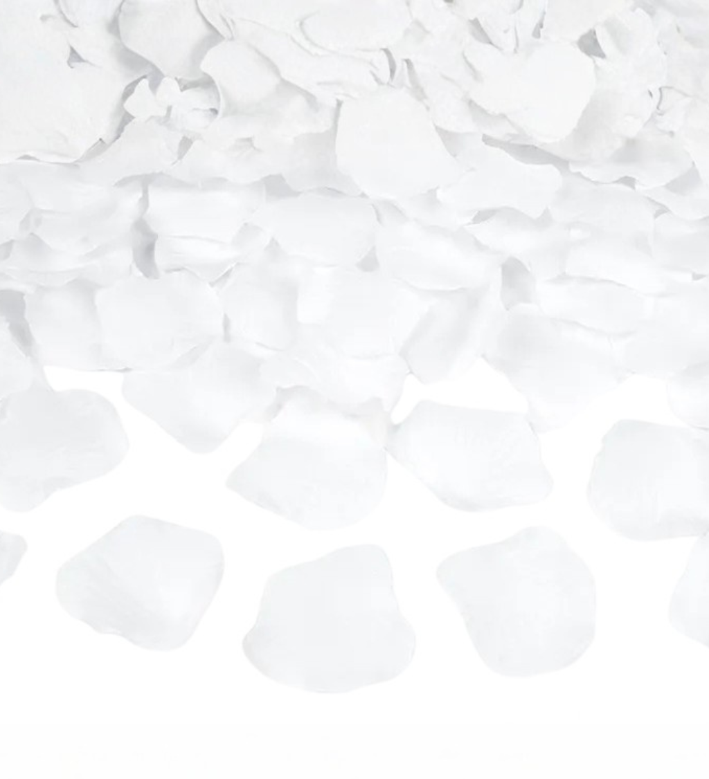 Bílé okvětní lístky růží