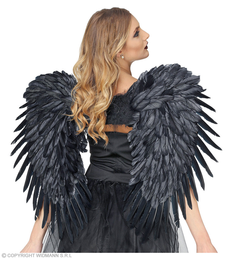 Andělská černá křídla