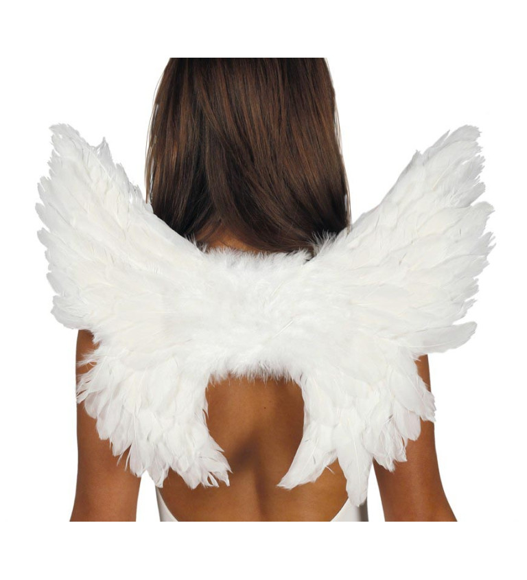 Bílé ptačí křídla